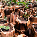 Medición impacto ambiental