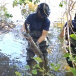 Madblue Limpieza de ríos